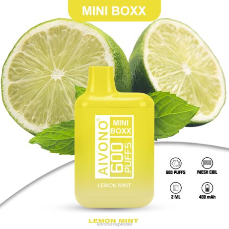 Aivono AIM MINI BOXX 600 ليمون نعناع NX24D6233 | Aivono Uae
