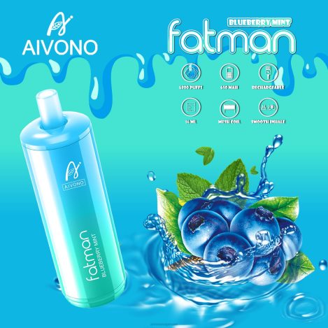 Aivono FATMAN 6800 النعناع التوت NX24D622 | Aivono Vape Uae